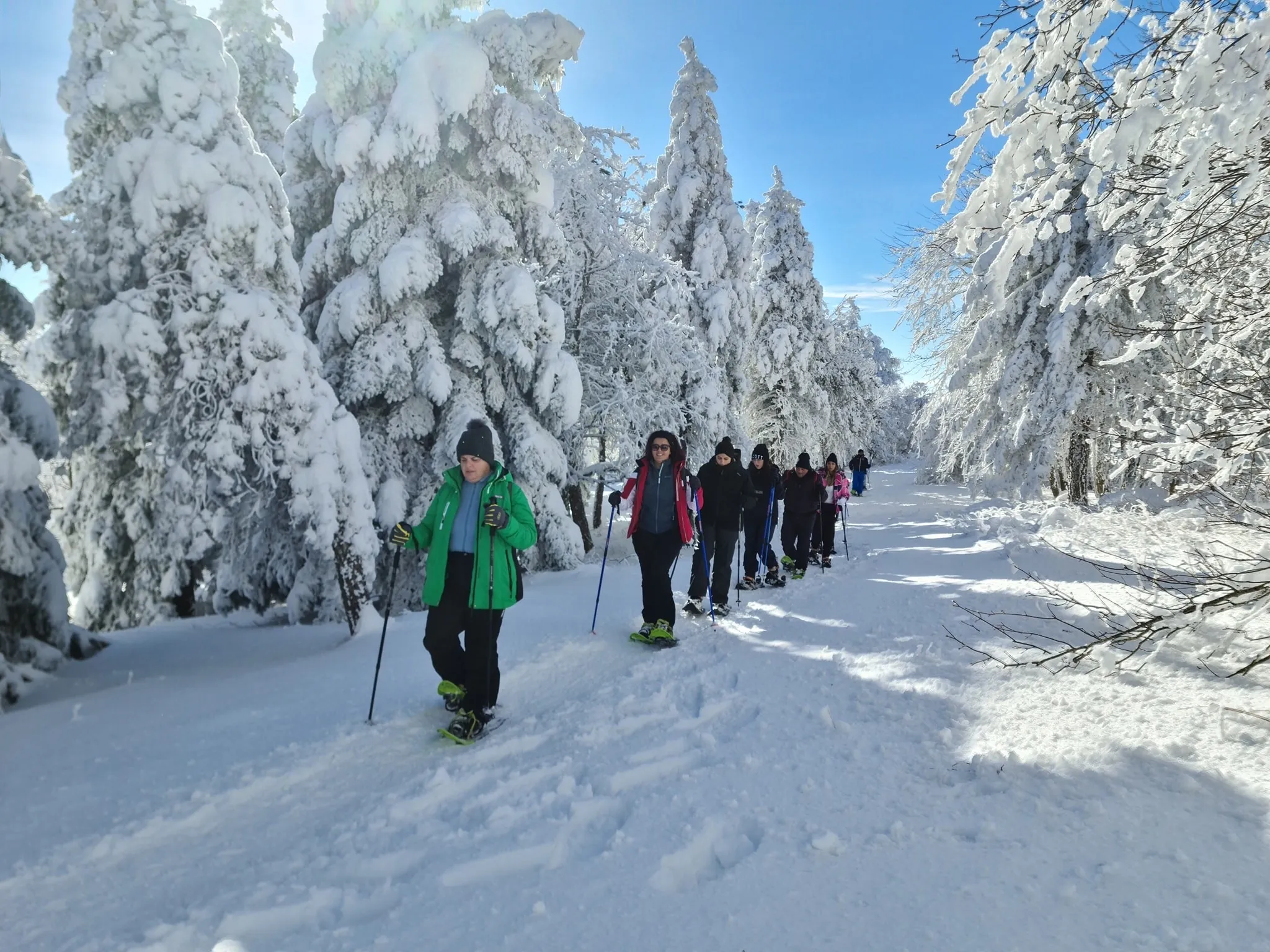 Ragazzi in ciaspolata nel bosco innevato di Capracotta