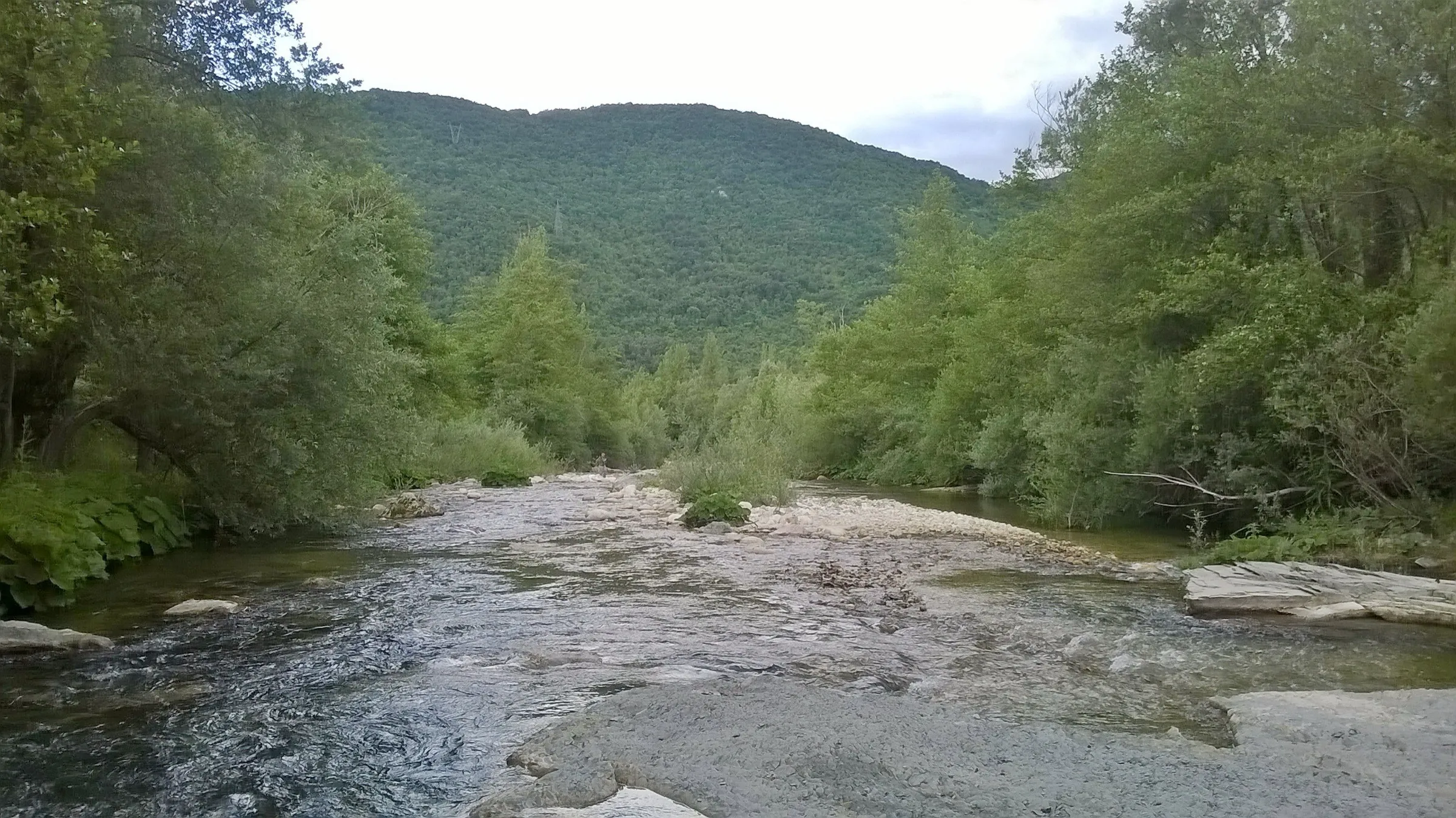 Il fiume Volturno tra i boschi a Colli a Volturno